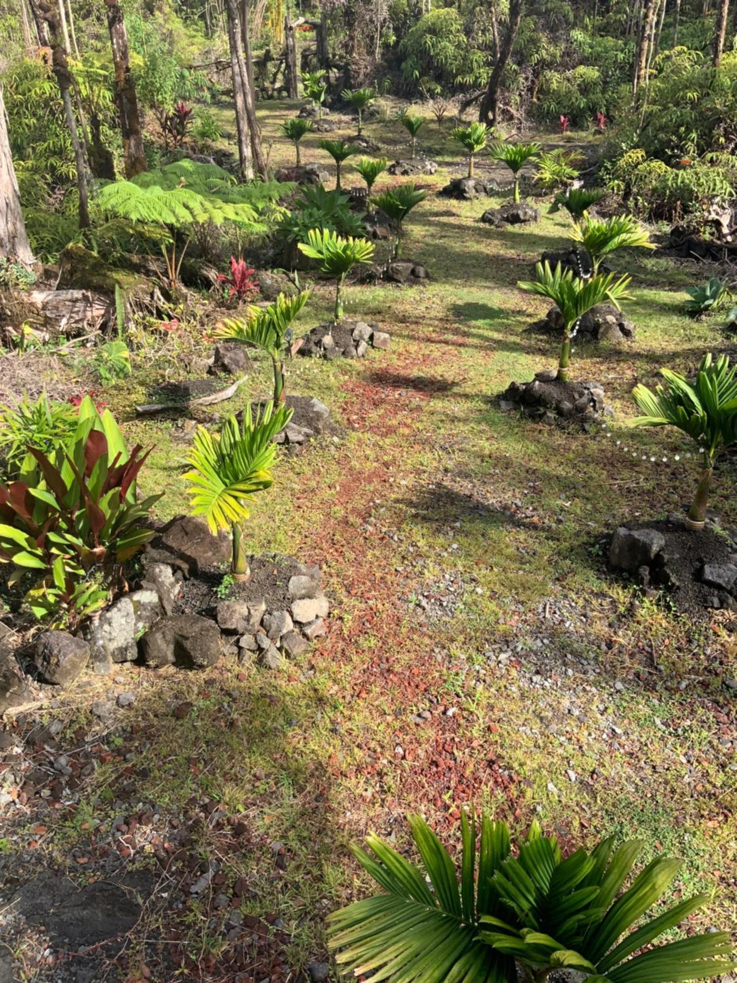 Exotic Garden Cottage At Amazing Volcano Fissure Mountain View Buitenkant foto