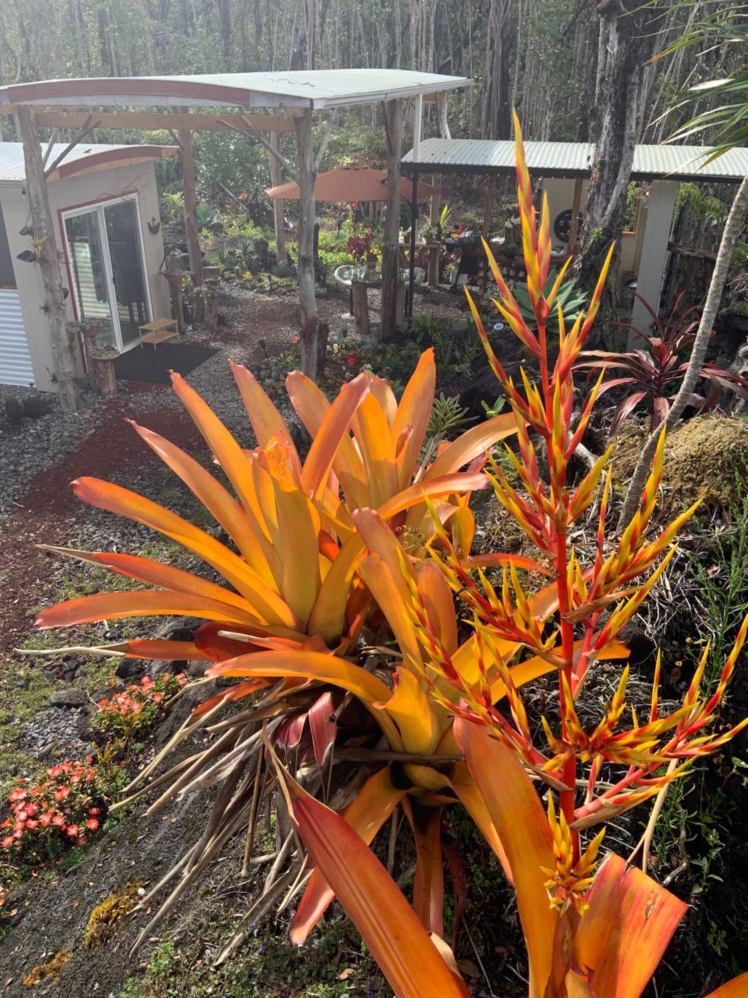 Exotic Garden Cottage At Amazing Volcano Fissure Mountain View Buitenkant foto