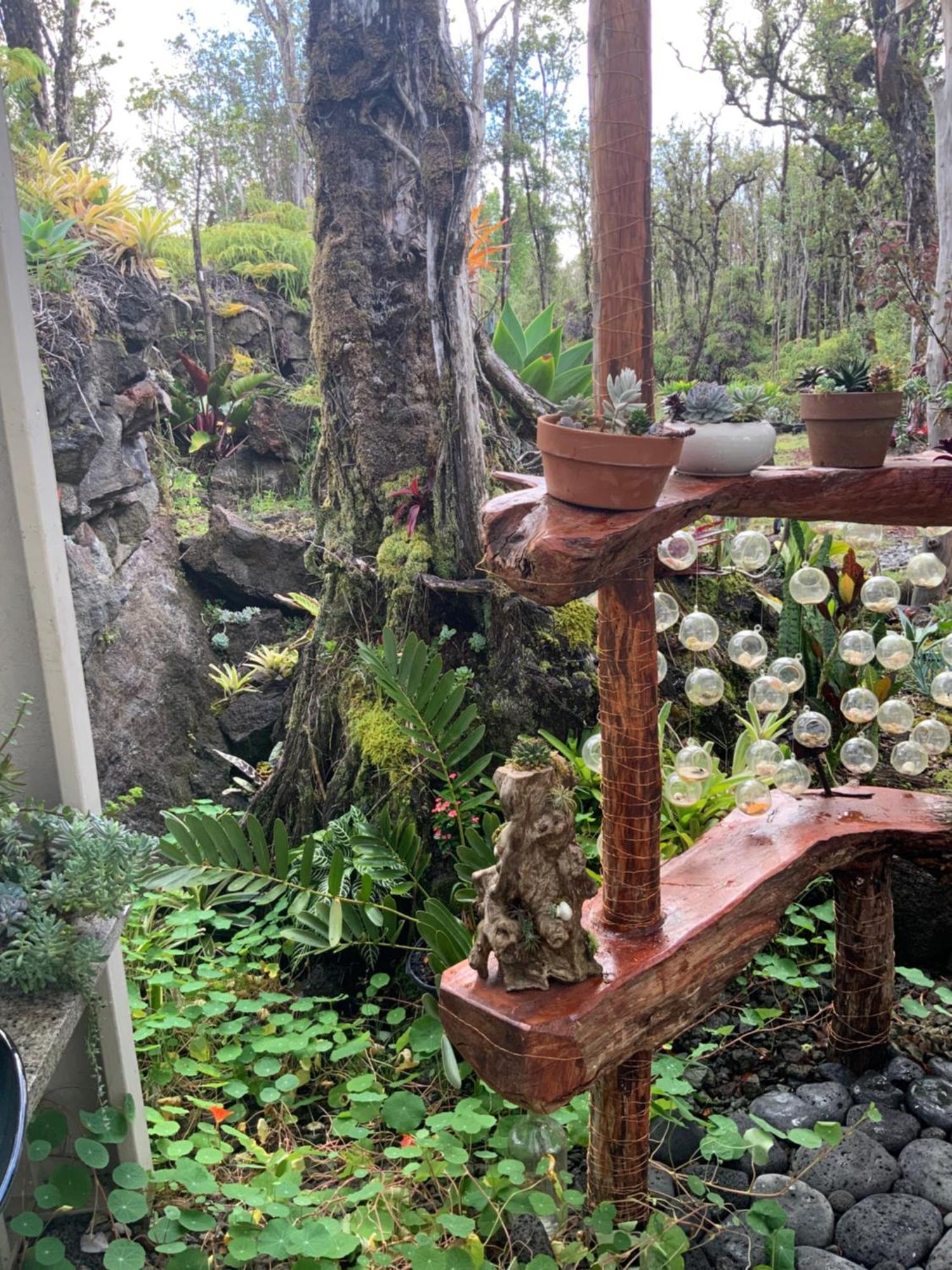 Exotic Garden Cottage At Amazing Volcano Fissure Mountain View Buitenkant foto