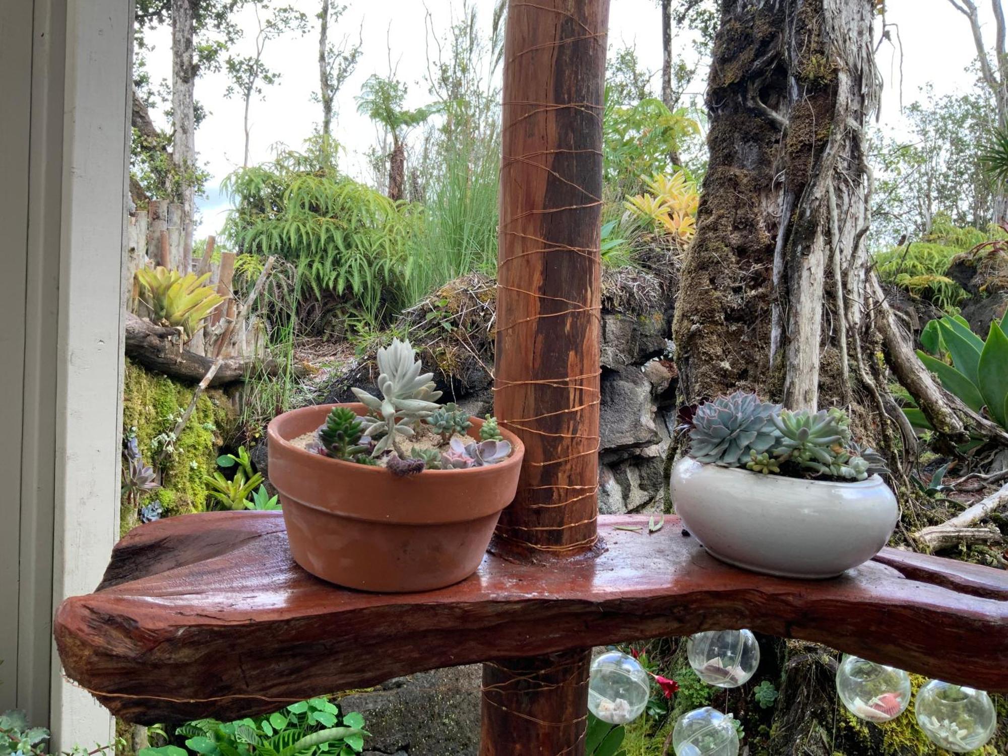 Exotic Garden Cottage At Amazing Volcano Fissure Mountain View Buitenkant foto