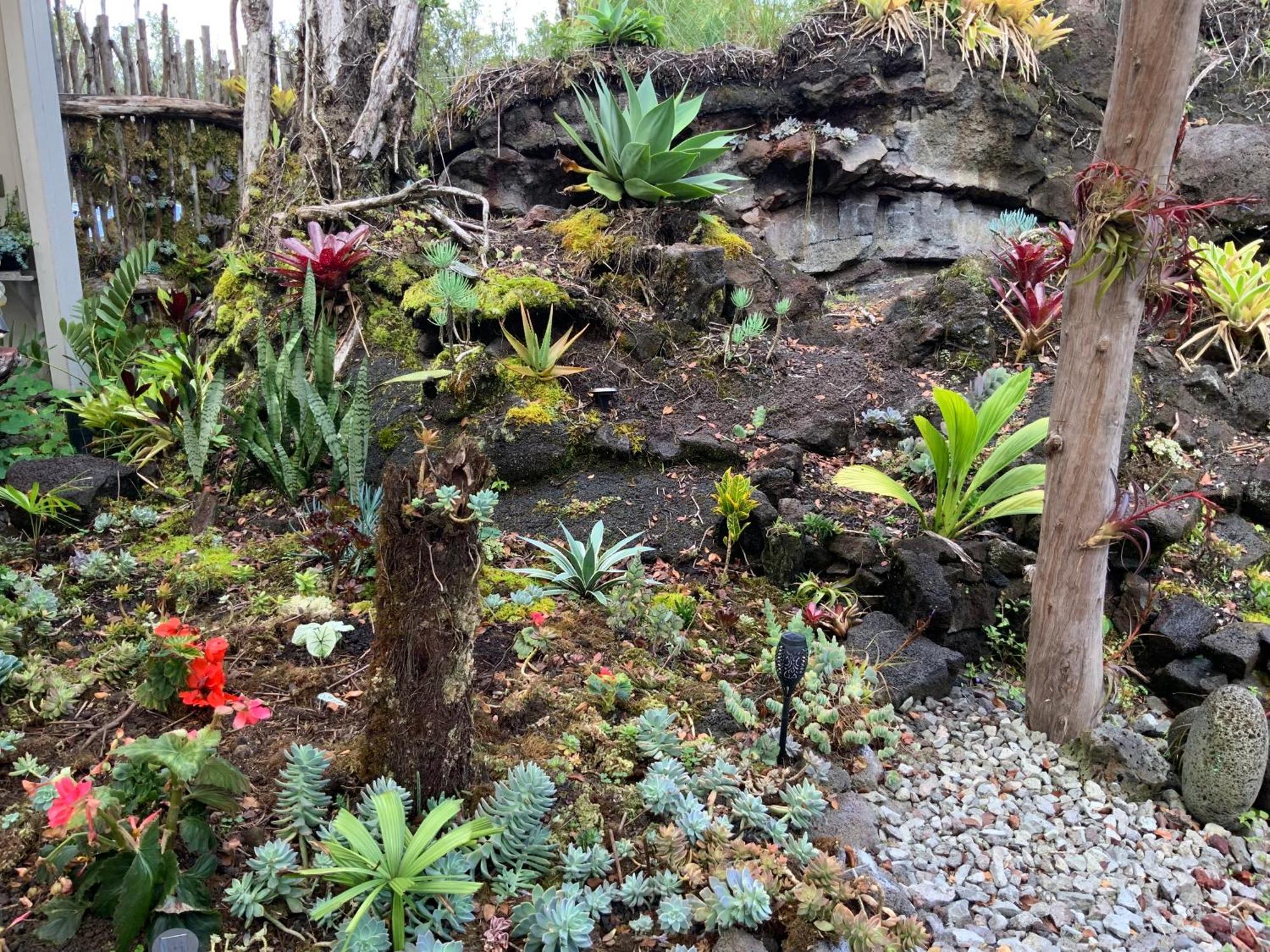 Exotic Garden Cottage At Amazing Volcano Fissure Mountain View Buitenkant foto