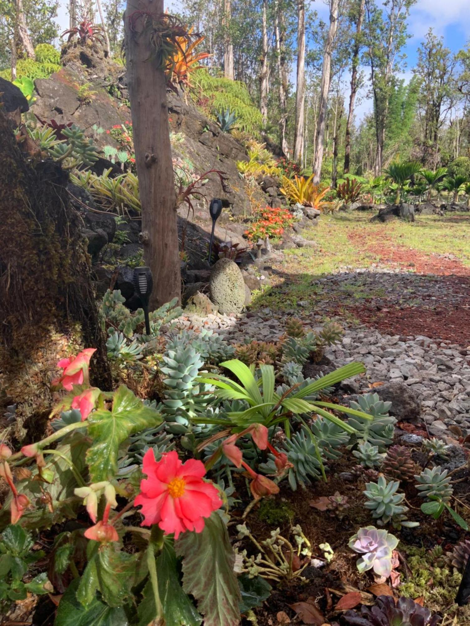 Exotic Garden Cottage At Amazing Volcano Fissure Mountain View Buitenkant foto