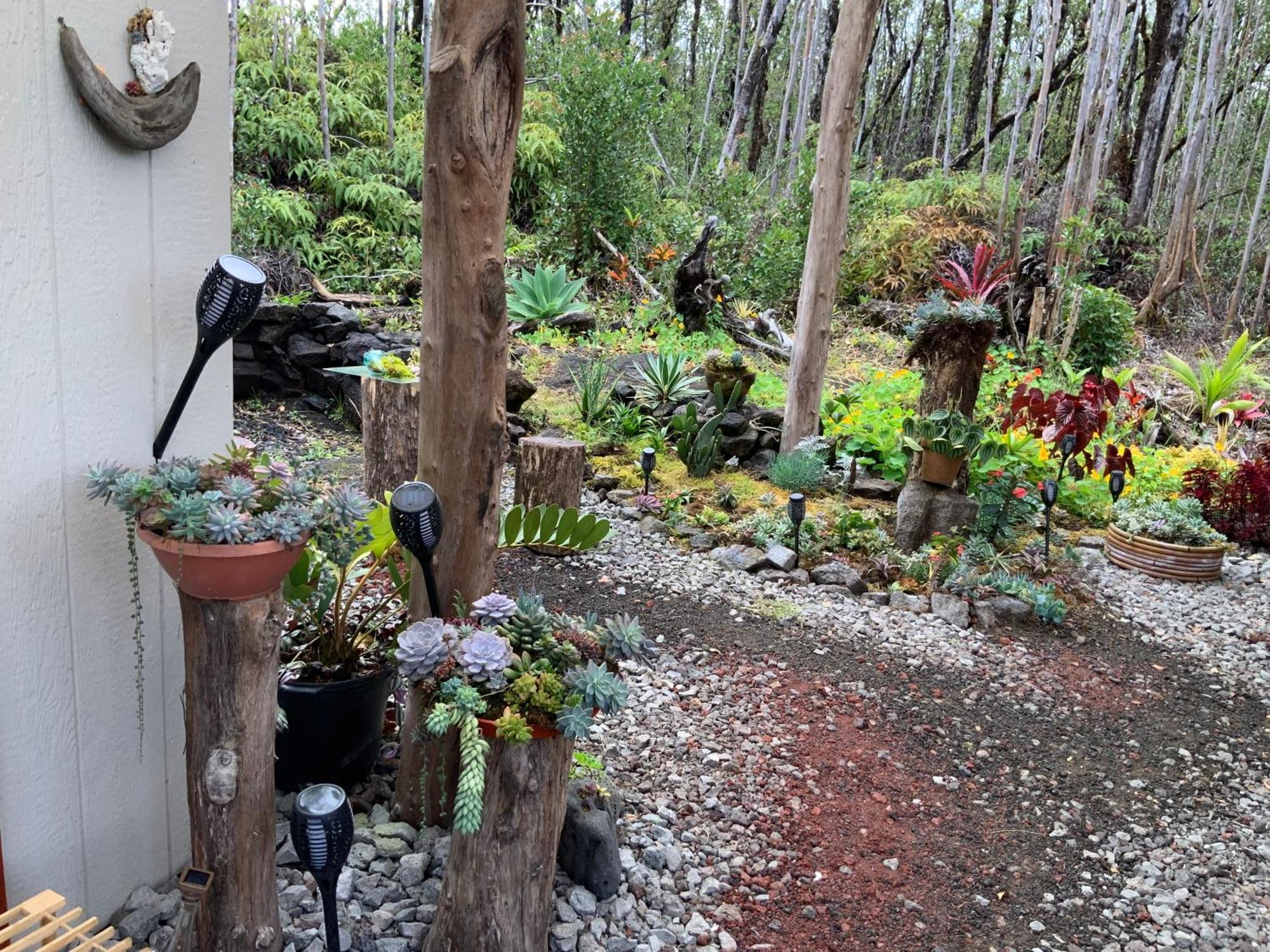 Exotic Garden Cottage At Amazing Volcano Fissure Mountain View Buitenkant foto