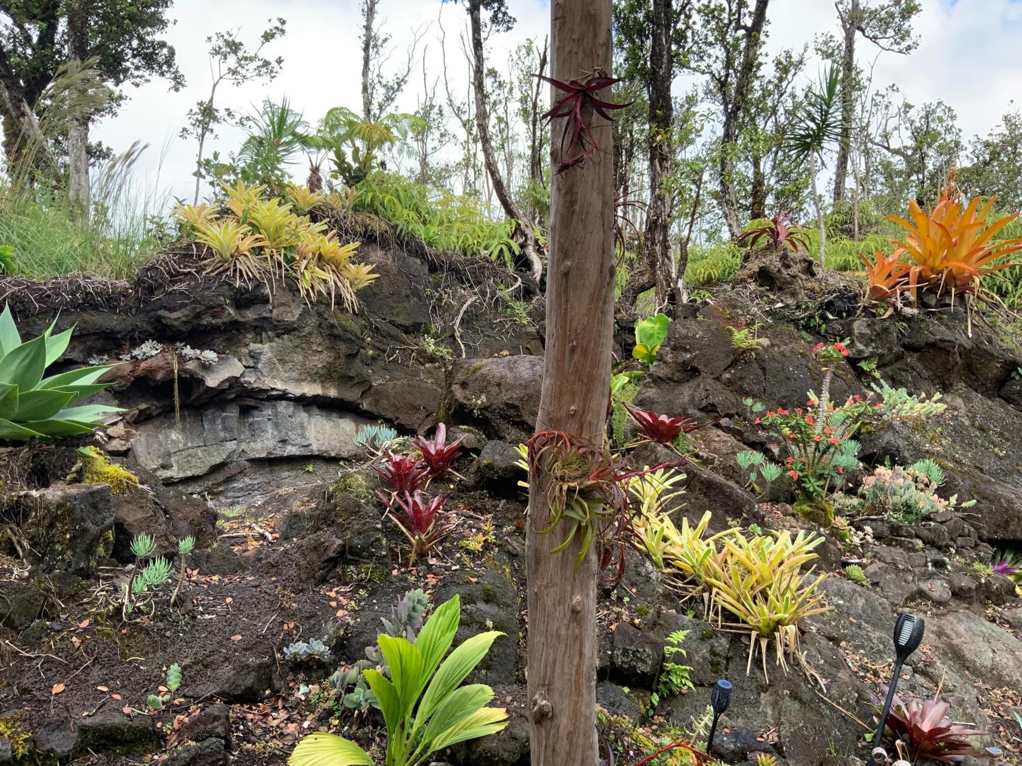 Exotic Garden Cottage At Amazing Volcano Fissure Mountain View Buitenkant foto