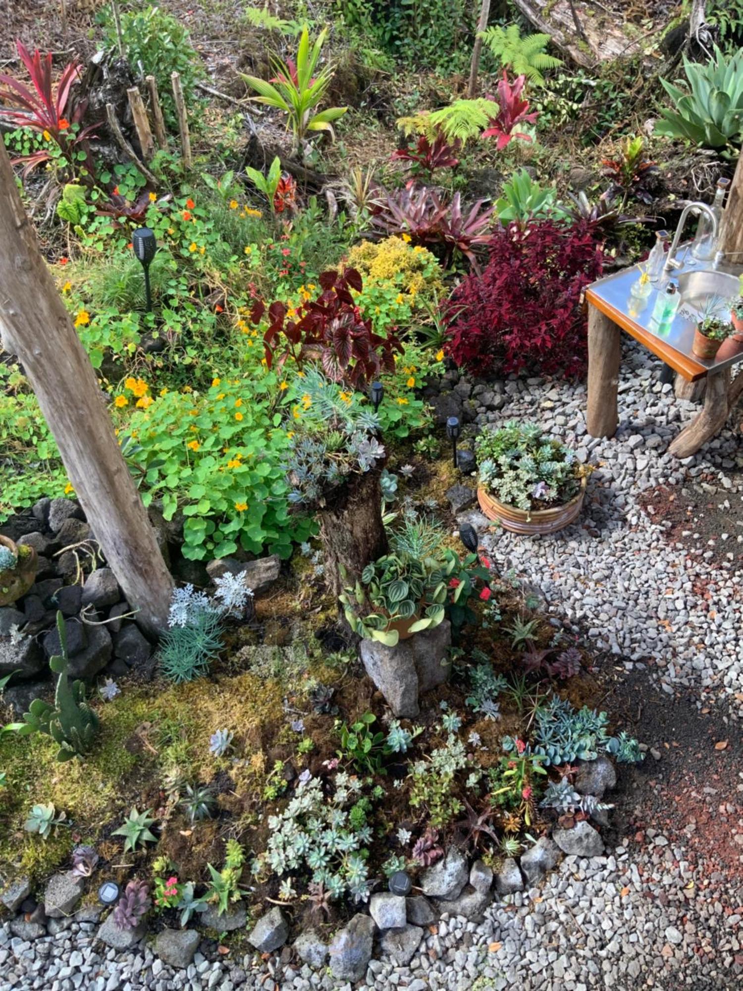 Exotic Garden Cottage At Amazing Volcano Fissure Mountain View Buitenkant foto