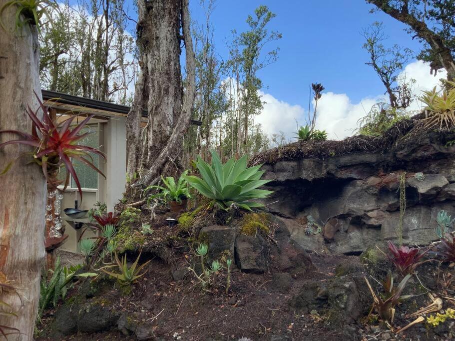 Exotic Garden Cottage At Amazing Volcano Fissure Mountain View Buitenkant foto