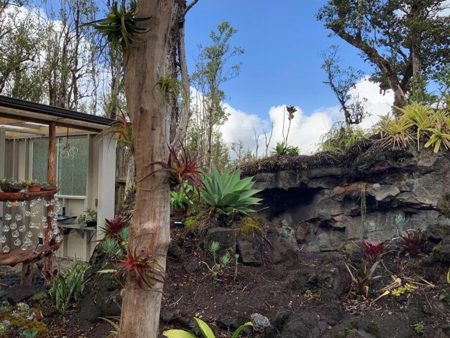 Exotic Garden Cottage At Amazing Volcano Fissure Mountain View Buitenkant foto