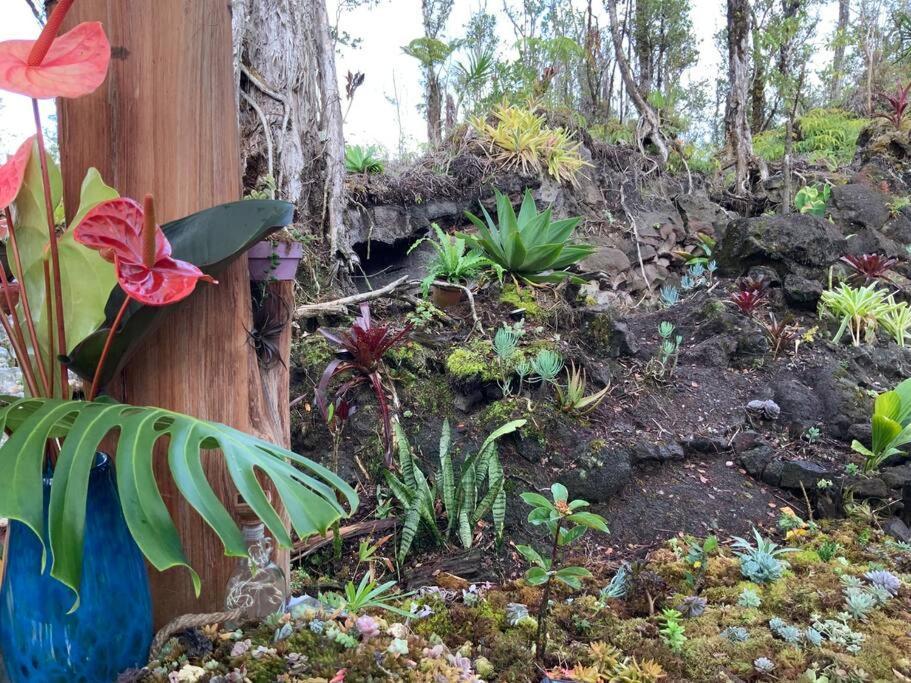 Exotic Garden Cottage At Amazing Volcano Fissure Mountain View Buitenkant foto