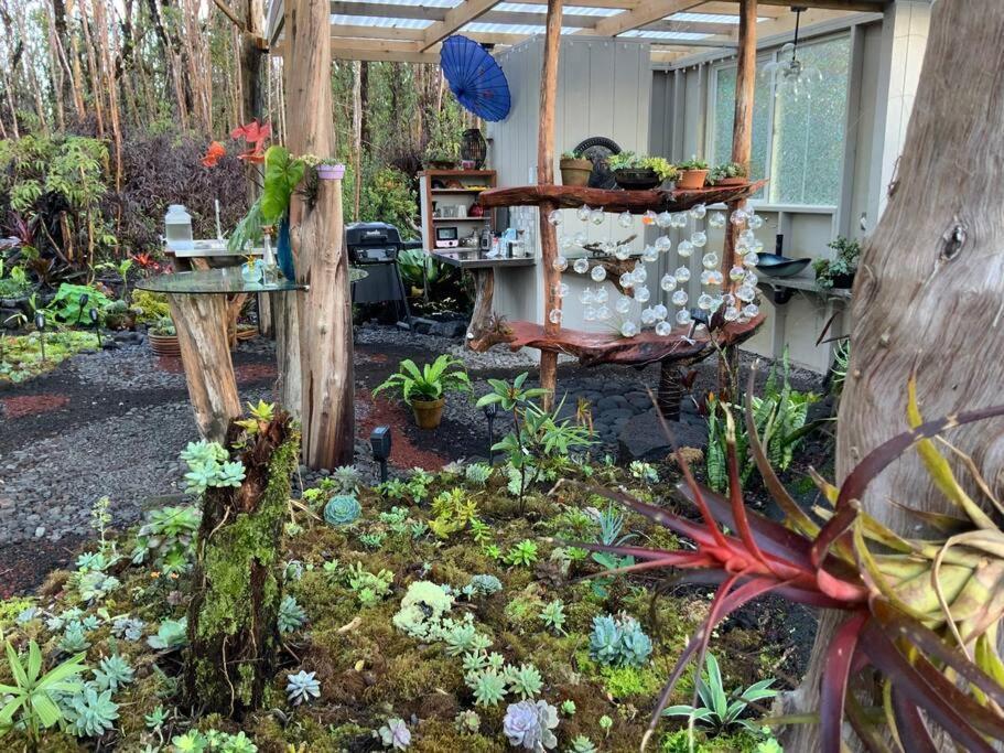 Exotic Garden Cottage At Amazing Volcano Fissure Mountain View Buitenkant foto