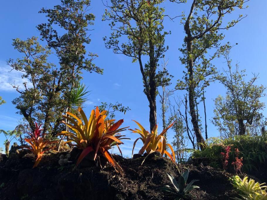 Exotic Garden Cottage At Amazing Volcano Fissure Mountain View Buitenkant foto
