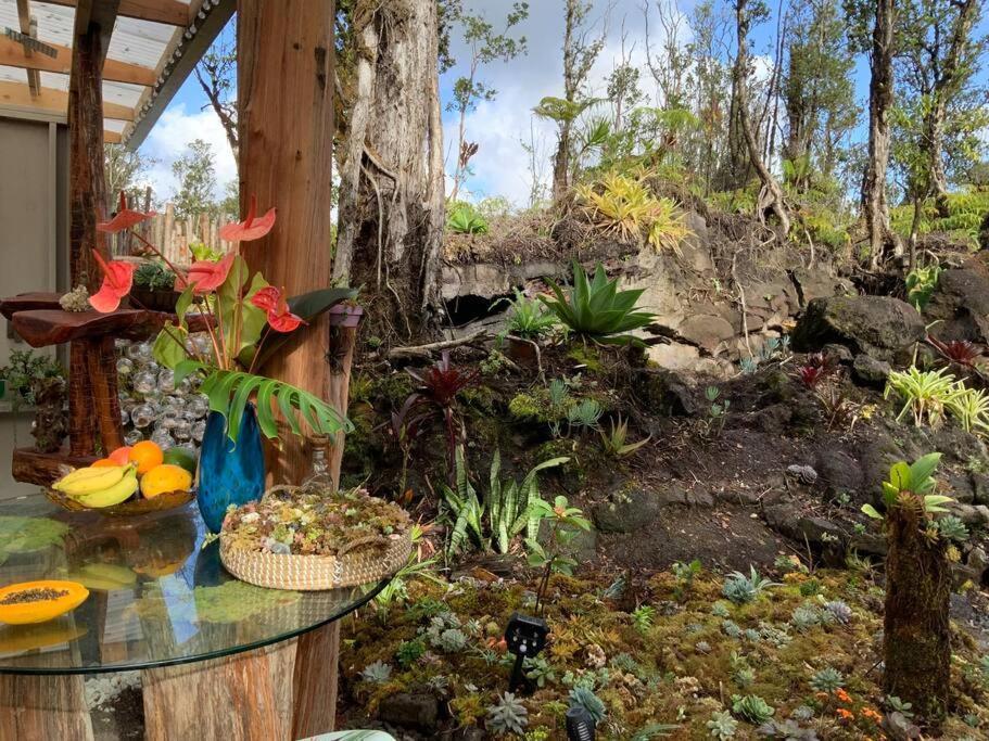 Exotic Garden Cottage At Amazing Volcano Fissure Mountain View Buitenkant foto