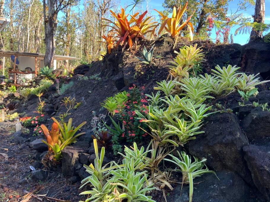Exotic Garden Cottage At Amazing Volcano Fissure Mountain View Buitenkant foto