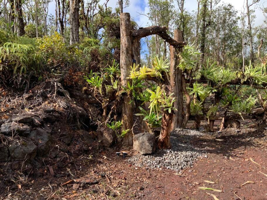 Exotic Garden Cottage At Amazing Volcano Fissure Mountain View Buitenkant foto