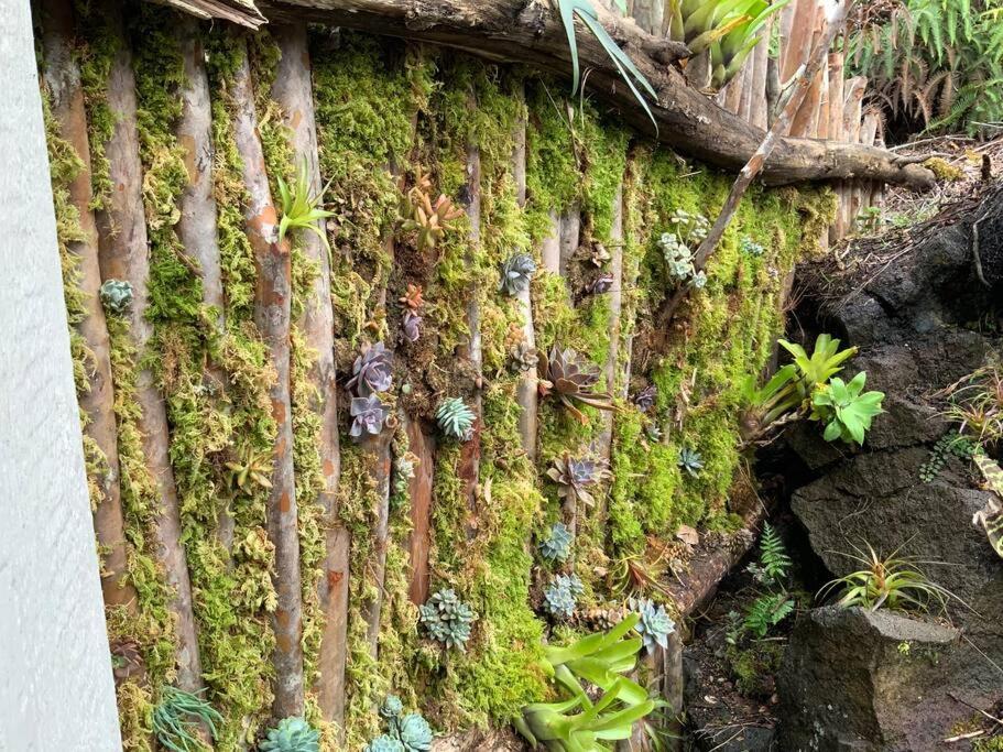 Exotic Garden Cottage At Amazing Volcano Fissure Mountain View Buitenkant foto